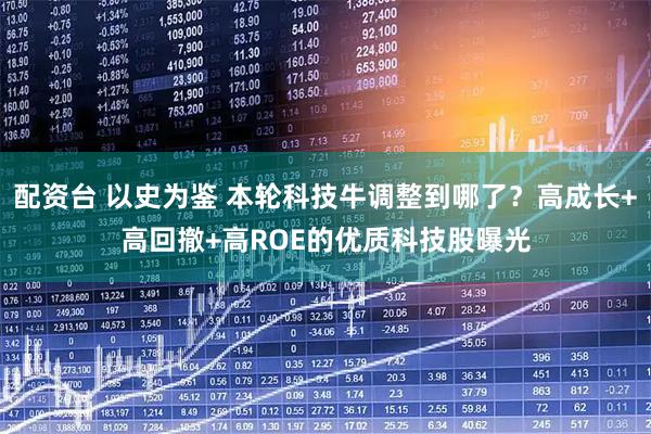 配资台 以史为鉴 本轮科技牛调整到哪了？高成长+高回撤+高ROE的优质科技股曝光